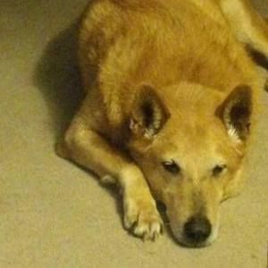 Meet your Posher, Stephen